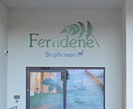 Ferndene Stephenson MSU 3