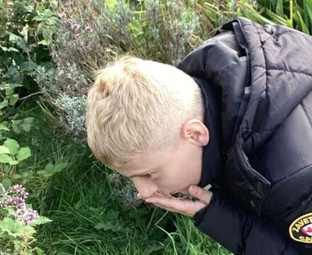 IMG 0124 Andrew McGuinness