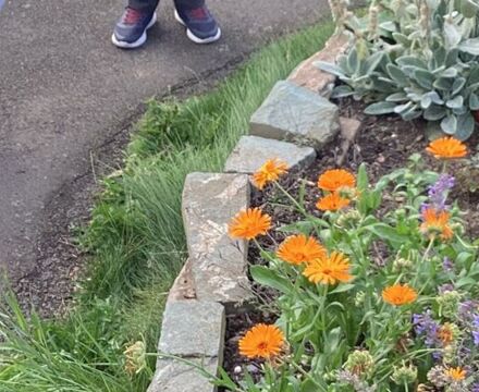 IMG 0120 Andrew McGuinness