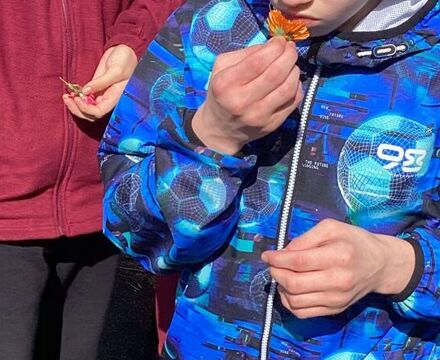 IMG 0117 Andrew McGuinness