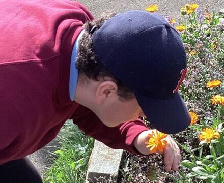 IMG 0116 Andrew McGuinness