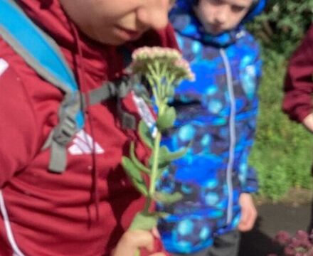 IMG 0110 Andrew McGuinness