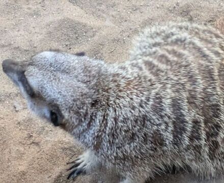 PXL 20250916 120514892 Ally Tokat