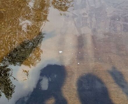 PXL 20250916 113918402 Ally Tokat