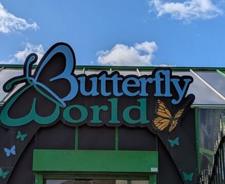 PXL 20250916 100353734 Ally Tokat