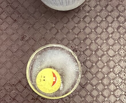 IMG 2941 Estelle Carney