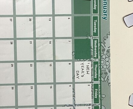 IMG 0064 Sarah Jacobs